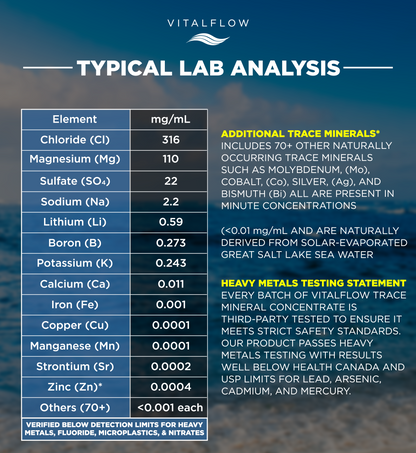 VitalFlow Sea-Sourced Trace Mineral Drops | Magnesium-Rich Full Spectrum Electrolytes |  Concentrate | Hydration, Energy, Balance | 120 mL